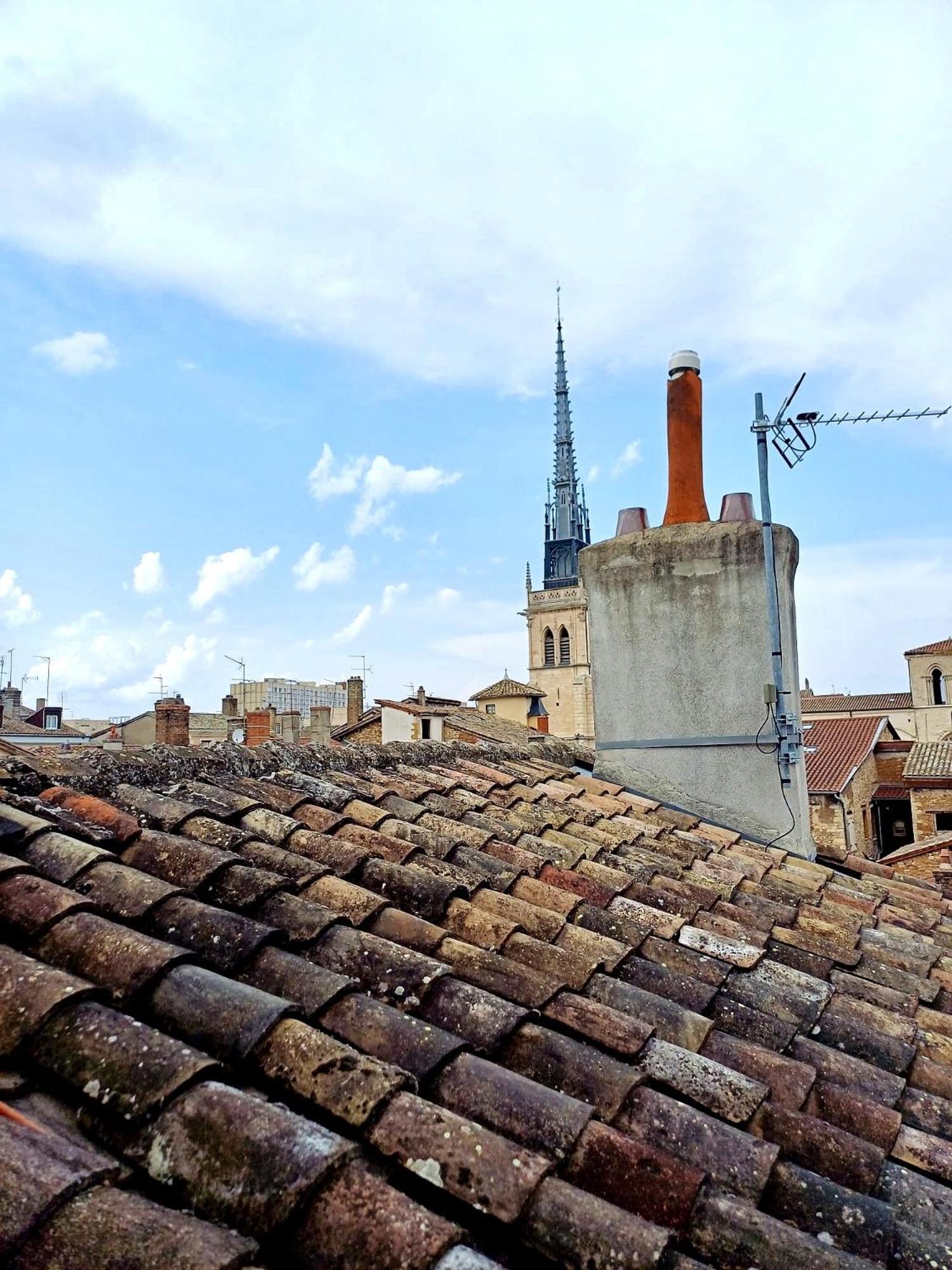 Le Nid Tropical Proche Gare * Villefranche-sur-Saône