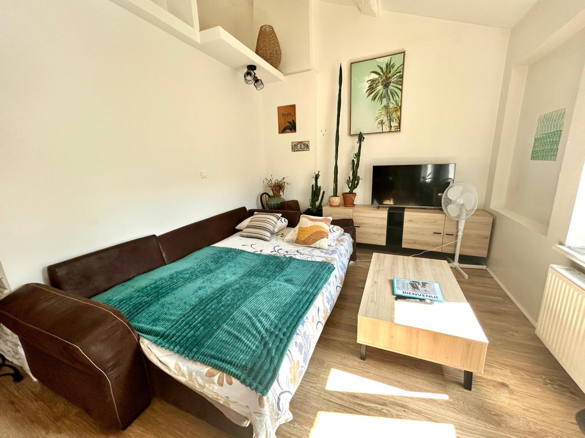 Le Nid Tropical Proche Gare Apartment *